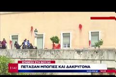Επίθεση από Ρουβίκωνα με μπογιές και καπνογόνο στη Βουλή