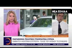 Τσίπρας: Άμεσα οι διαδικασίες για την ανασυγκρότηση του κόμματος