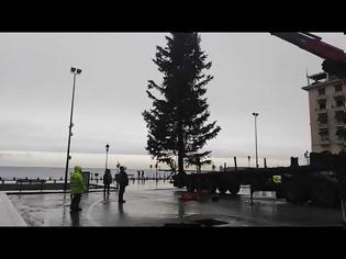 Φωτογραφία για Στήνεται το χριστουγεννιάτικο δέντρο στην πλατεία Αριστοτέλους (video)