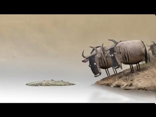 Φωτογραφία για Wildebeest from Birdbox Studio (VIDEO)