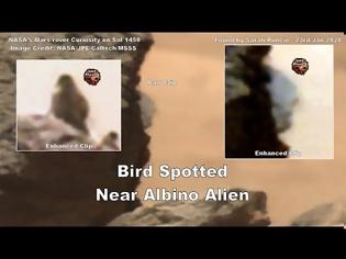 Φωτογραφία για Πιθανό πτηνό κοντά στον εξωγήινο που κρυφοκοιτάζει πίσω από βράχο στον Άρη, σύμφωνα με ισχυρισμούς (video)