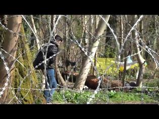 Φωτογραφία για Βίντεο με τον αδιαπέραστο «φράχτη» στις Καστανιές