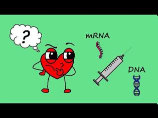 Φωτογραφία για Τι τρέχει τελικά με τα mRNA / DNA εμβόλια?