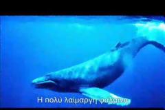 Γλώσσα Στ΄ τάξης - 4η ενότητα - 1ο μάθημα