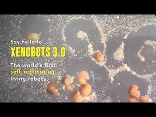 Φωτογραφία για Τα πρώτα «ζωντανά ρομπότ» του κόσμου έμαθαν να αναπαράγονται (+vid)