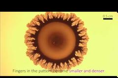 APS Physics: Ένα απλό πείραμα παραγωγής fractals