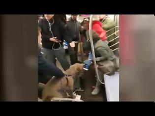 Φωτογραφία για Βίντεο μέσα από το μετρό όπου πίτμπουλ επιτίθεται σε γυναίκα στο βαγόνι
