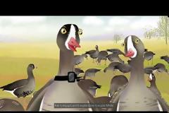 Τα ταξίδια του Mr. Blue: από τον Αρκτικό κύκλο ως τη Μεσόγειο