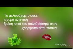 Τα βότανα και η βοτανολογία σύμφωνα με το Θεόφραστο - ιδιότητες των βοτάνων