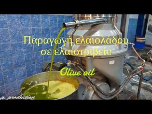 Φωτογραφία για Διαδικασία παραγωγής ελαιόλαδου σε ελαιοτριβείο (Olive oil)