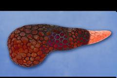 Ήπιε 12 ενεργειακά ποτά σε 10 λεπτά: Το πάγκρεας άρχισε να χωνεύεται και έκλεισαν τα νεφρά του (βίντεο)