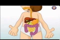 Φυσική Ε΄ τάξης: Ενότητα 