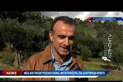 Γιγάντιο μανιτάρι κλέβει την παράσταση - Ένα βήμα πριν τα ρεκόρ γκίνες