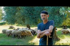 Ο Νίκος και το κοπάδι του | Ο μερακλής βοσκός του Βάλτου