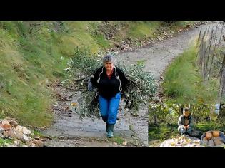 Φωτογραφία για Η σκληρή ζωή σε ένα έρημο χωριό της Ευρυτανίας (βιντεο)