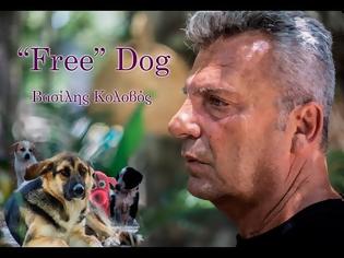 Φωτογραφία για Ο Βασίλης Κολοβός αφιερώνει το νέο του τραγούδι FREE DOG στα αδέσποτα.