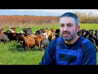 Φωτογραφία για Από γεωπόνος, κτηνοτρόφος - Ο Ανδριανός και το κοπάδι του   (βιντεο )