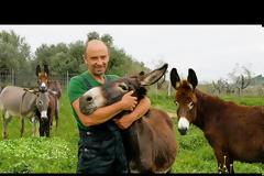 Η φάρμα του Γιώργου με τα γαϊδουράκια  (βιντεο)