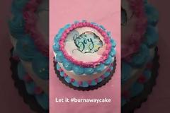 Τούρτα γενεθλίων: “Είμαι επιστήμονας τροφίμων και αυτό, δεν θα το έκανα ποτέ!”