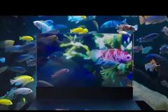 Διάφανα laptop, έξυπνα δαχτυλίδια, κινητά τηλέφωνα βραχιόλια και ιπτάμενα αυτοκίνητα στο World Mobile Congress