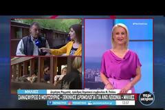 Ξανασφύριξε ο μουτζούρης - ξεκίνησε δρομολόγια για Άνω Λεχώνια- Μηλιές. Βίντεο