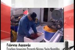 Κάρπαθος. Με ρεφενέ η βενζίνη στα ασθενοφόρα. Δωρεάν καταλύματα σε γιατρούς